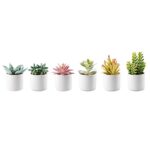 Artifloral Artificial Succulent Plants Set with Ceramic Pots, 6 Packs, Mini Faux Plants Indoor, Realistic Fake Plants for Home Decor Indoor Bedroom Office Desk Tabletop Shelf